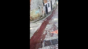 Morro do Fubá no RJ amanhece com rio de sangue após operação policial