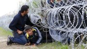 Polícia húngara prende político que cortou cerca anti-imigrantes