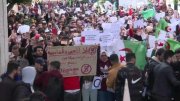 Os argelinos se mobilizaram contra uma nova candidatura de Bouteflika