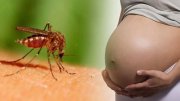 Direito ao aborto para grávidas infectadas pelo zika vírus pode ser aprovado