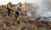 Pantanal é incendiado para criação de área de pasto para agropecuária, mostra perícia