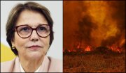 Tereza Cristina defende criadores de gado do Pantanal em meio aos incêndios criminosos