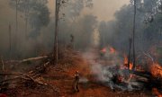 Antes mesmo do fim do mês, Pantanal tem pior outubro da história em relação a queimadas