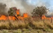 Chapada dos Veadeiros queima há uma semana enquanto agronegócio quer expandir ocupação