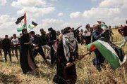 Israel criminaliza seis ONGS Palestinas, impedido suas atuações na Cisjordânia