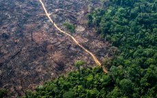 Desmatamento da Amazônia aumenta 104% em novembro e quebra recorde
