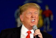 Trump anuncia que ordenará a construção do muro da xenofobia em seu Twitter