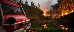 Incêndio florestal em Portugal: não existem desastres naturais