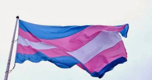 Lei Maria da Penha pode ser utilizada em caso de agressões à travestis e transexuais em todo o Brasil
