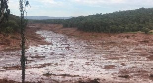 Rejeitos da lama que vazou em Brumadinho podem causar sérios problemas à saúde