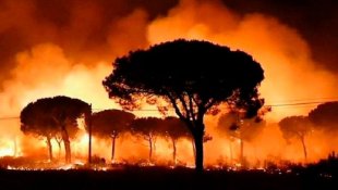 Amazônia em chamas: convocação para protesto em frente às embaixadas do Brasil