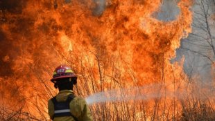 Mais da metade das províncias da Argentina em chamas: 95% são queimadas intencionais.