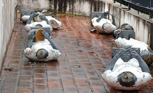 TOTAL REPÚDIO: Estátuas dos Homens Pretos aparecem decepadas após meses de ataques