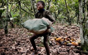 Temer decide ajudar o agronegócio a empregar crianças e mão de obra escrava impunemente