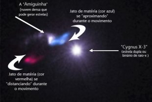 Os movimentos primitivos do ciclo estelar