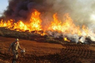Cresce em 462% o número de focos de incêndio no Pantanal em 2019: é política do governo