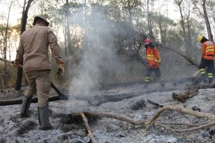 Incêndio no Pantanal começou em quatro grandes fazendas, aponta investigação