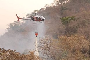 Sede do agronegócio: São Paulo tem 103 incêndios por dia em sua mata durante 8 meses