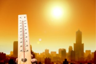 Em ano de esperado esfriamento, 2020 deve ser um dos três anos mais quentes da história
