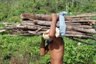 Contra o rastro de desmatamento e escravidão do Agronegócio: Reforma Agrária e Constituinte!