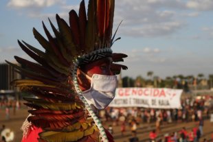 "Façamos como os indígenas!" Depoimento de uma estudante da UNB no acampamento contra o Marco Temporal