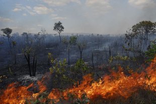 Incêndio na Chapada dos Veadeiros: fogo destrói área equivalente à 24 mil campos de futebol