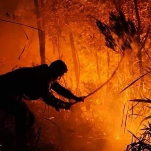 Bombeiros negam ajuda e expõe quase 60 vidas indígenas à morte