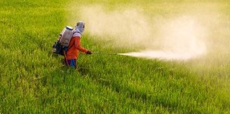 Comissão aprova aumento ainda maior de agrotóxicos na produção de alimentos