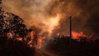 Pantanal arde em chamas enquanto Bolsonaro defende o lucro do grande latifúndio