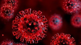 Brasil registra 1.240 mortes por coronavírus nas últimas 24 horas