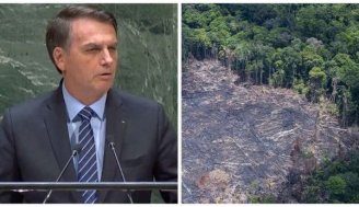 Bolsonaro debocha dos recordes de desmatamento em seu governo: "Amazônia não pega fogo"