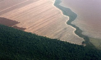 Governo Bolsonaro: o desmatamento da Amazônia Legal foi 66% maior do que em julho de 2018