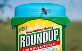 Após a decisão contra a Monsanto por causar câncer, a Comissão Européia autoriza o uso do glifosato