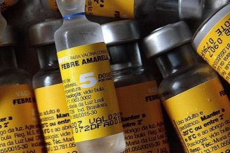 Em meio ao aumento de casos, falta vacina de febre amarela em São Paulo