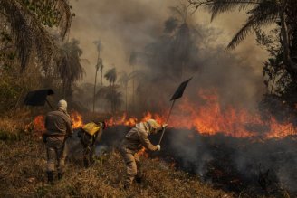 Em meio a queimadas recordes no Pantanal, multas do Ibama despencam 