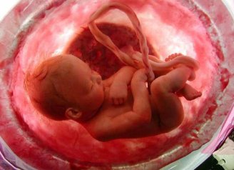 Projeto de Lei quer obrigar vítimas de estupro a verem imagens de fetos antes de aborto