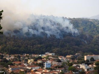 Incêndios florestais aumentaram 109% no estado de SP em 2020