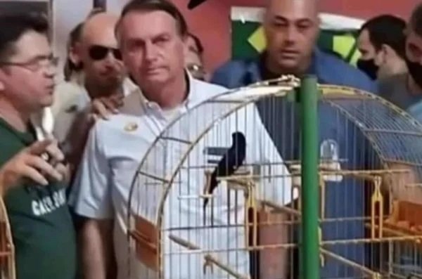 Enquanto pobres passam fome, Bolsonaro vai a competição de pássaros ameaçados de extinção