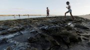 Óleo derramado no Nordeste é o maior crime ambiental em extensão já registrado no Brasil