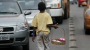 Dia das crianças: a cada 15 dias uma morre por trabalho infantil no Brasil de Bolsonaro