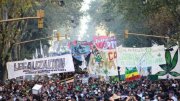 Myriam Bregman e Nicolas Del Caño exigiram a legalização integral da maconha
