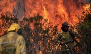 Incêndio criminoso na Chapada Diamantina é controlado após 2.000 hectares queimados