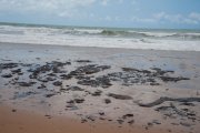 A escandalosa omissão do Governo Bolsonaro faz óleo chegar no litoral do RJ