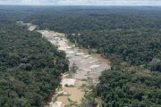 Em meio à pandemia, 72% do desmatamento na Amazônia estão em Terras Indígenas e UCs federais