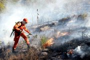 Chapada Diamantina na Bahia arde em chamas, com suspeita de incêndio criminoso