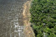 Desmatamento na Amazônia bate recorde de 10 anos