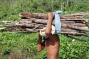 Contra o rastro de desmatamento e escravidão do Agronegócio: Reforma Agrária e Constituinte!