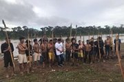 A invasão das terras Yanomami, a devastação ambiental e a geopolítica dos EUA