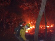 Com avanço da devastação ambiental, Pantanal atinge índices de queimadas iguais de 2020