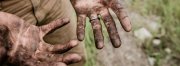 Exploração: 114 trabalhadores são submetidos a trabalho escravo no sertão pernambucano